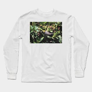 Small Verdin Long Sleeve T-Shirt